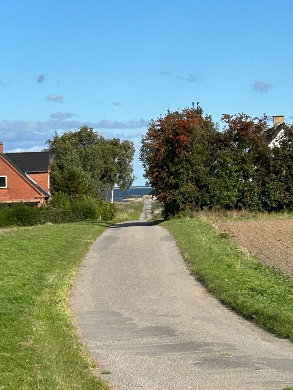 image 01