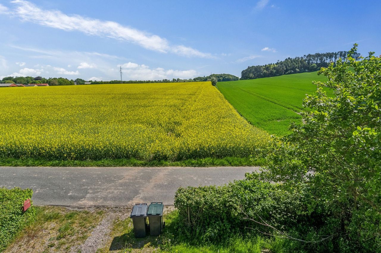 image 04